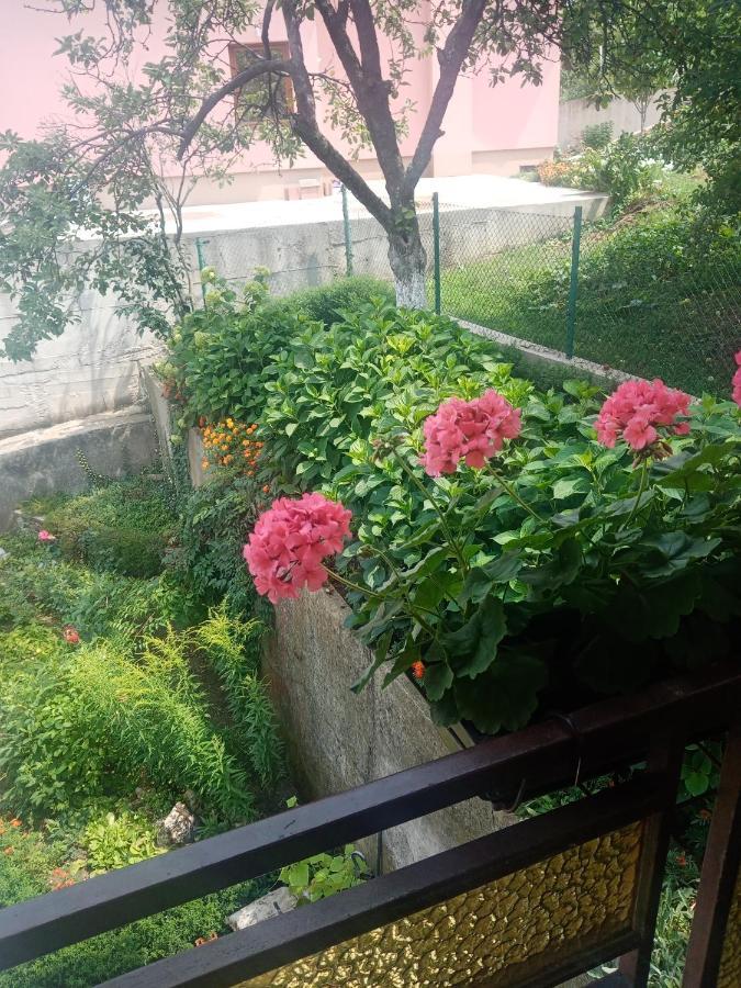 Azra Apartment วิโซโค ภายนอก รูปภาพ
